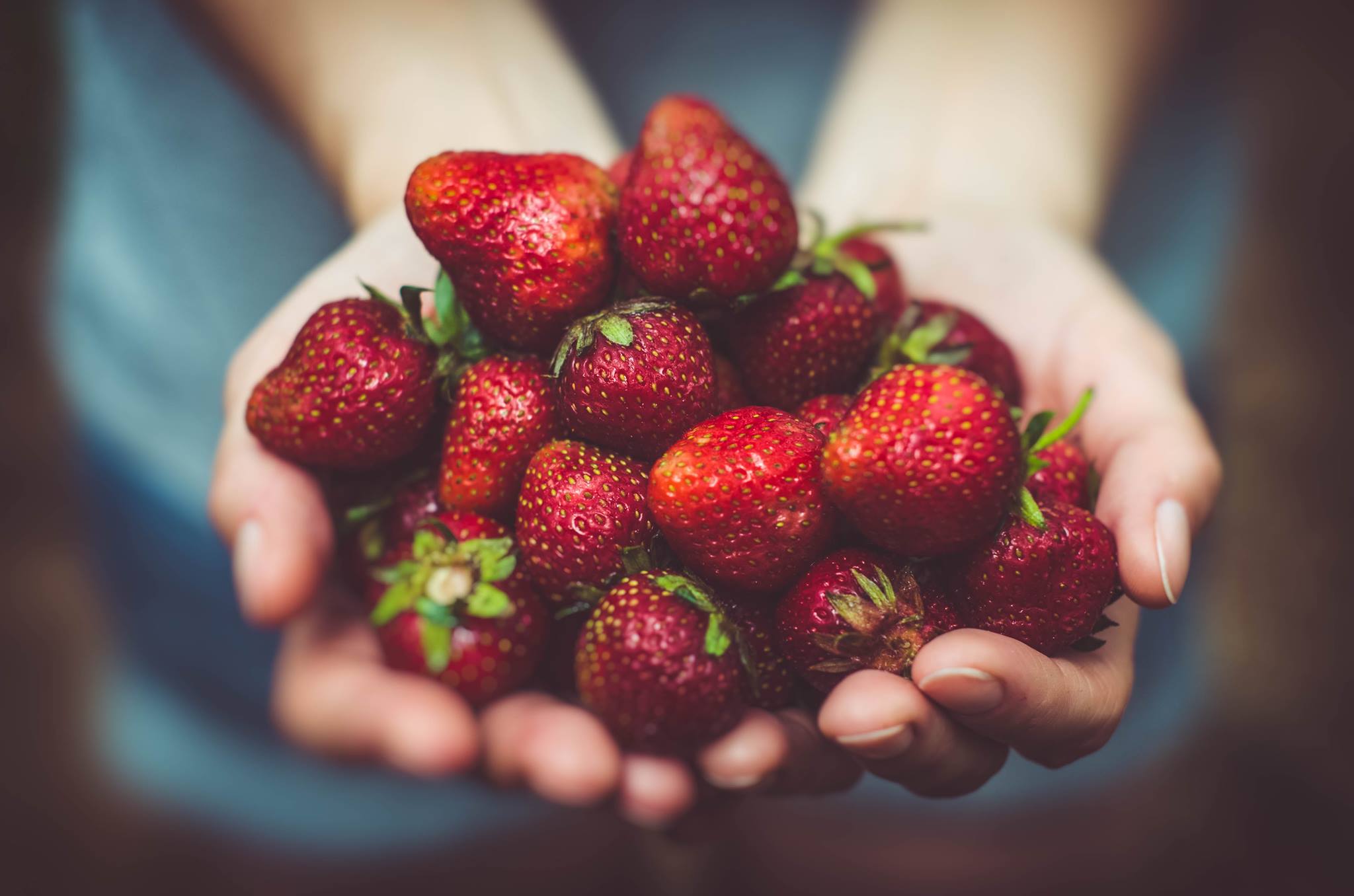 A good quality jam requires the freshest of ingredients (photo: Artur Rutkowski)